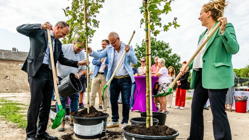 Drie esdoorns als symbolische start bouwproject Thomaskerk/De Ark