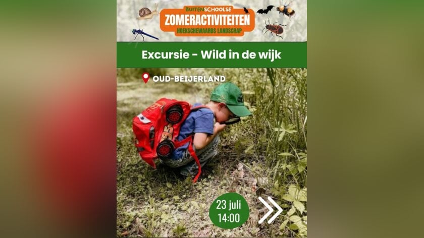HWL organiseert buitenschoolse excursie: Wild in de Wijk