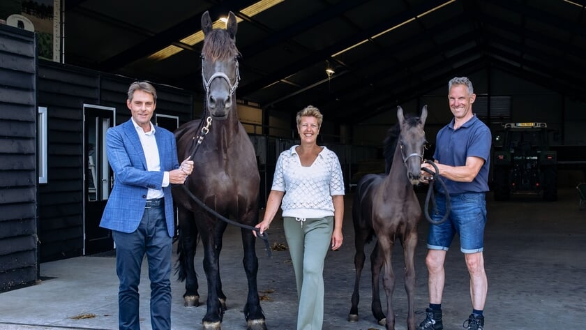 Hoeksche Waardse ondernemers in beeld
