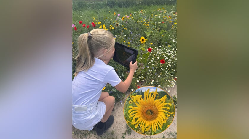 Akkerranden schouwen met Tess