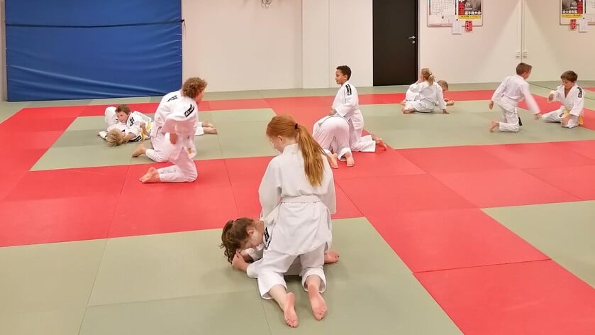 Driedubbel jubileum bij Judoclub Randori, zaterdag Open Dag