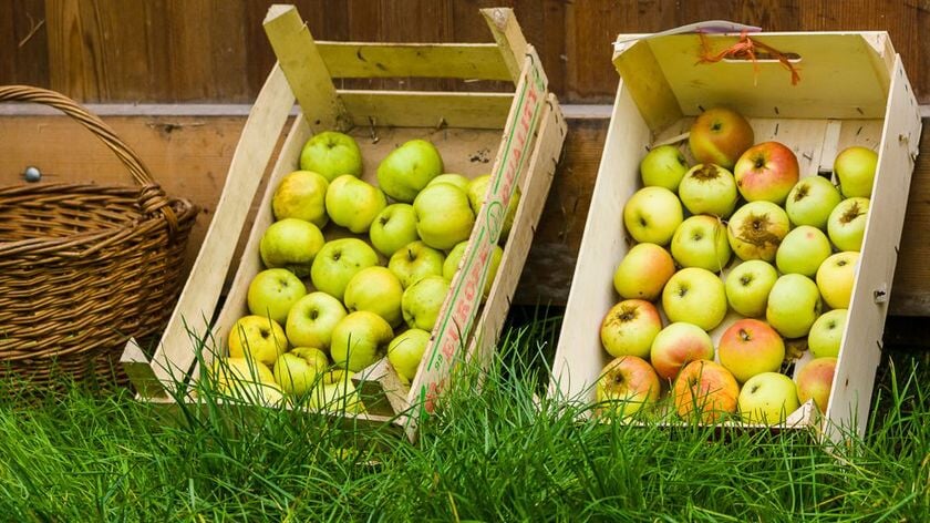 Kom naar Fruit & Sap dag zaterdag 4 oktober