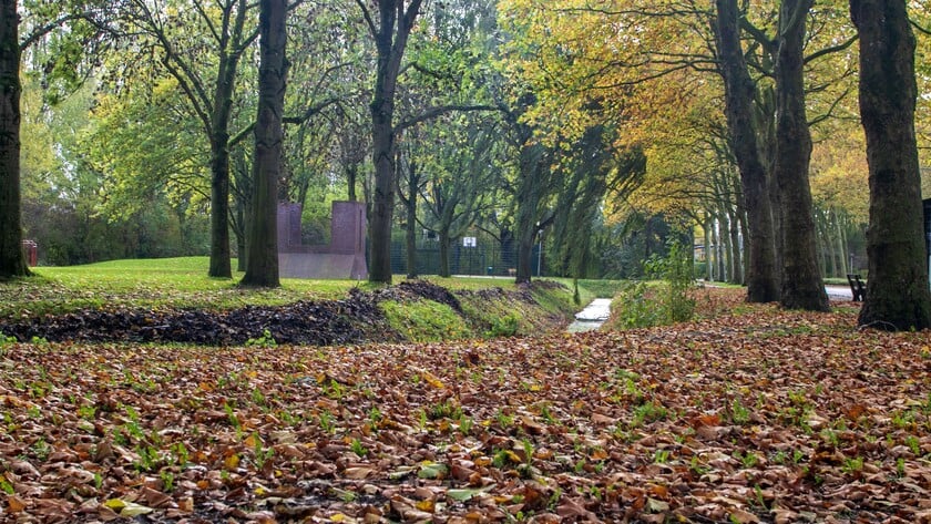 Komende week geregeld buien en veel wind