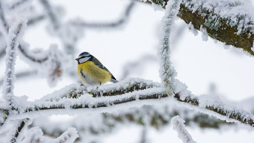 Wintertijd begint met fris en onstuimig weer