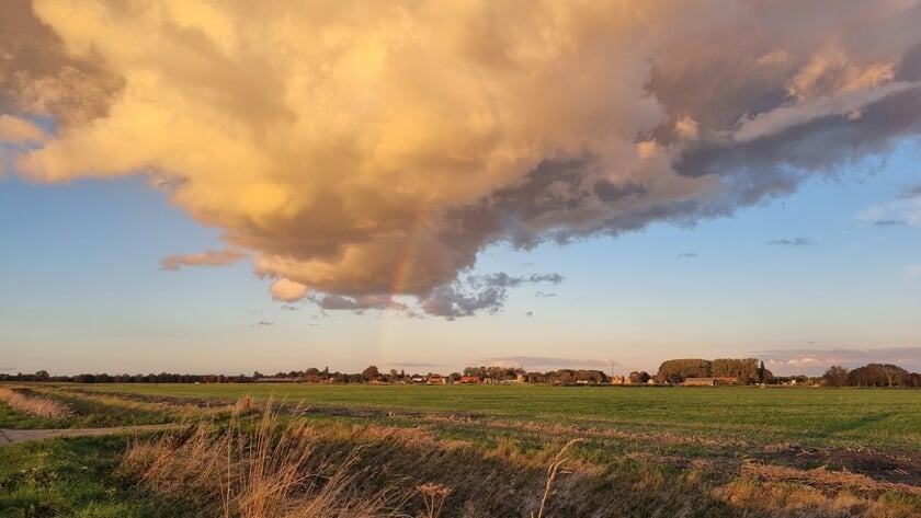 Foto van de week
