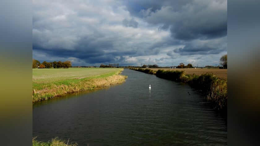 Foto van de week door Cees