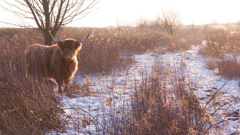 Minder faciliteiten tijdens winter in Tiengemeten