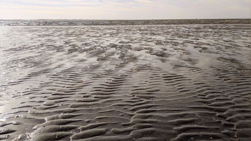 Foto van de week door Henri