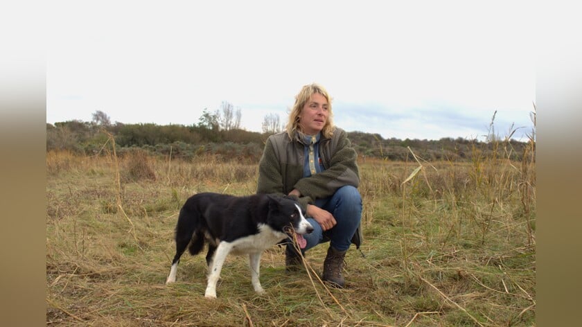 Schaapsherderin Carlette met haar “zooitje ongeregeld”