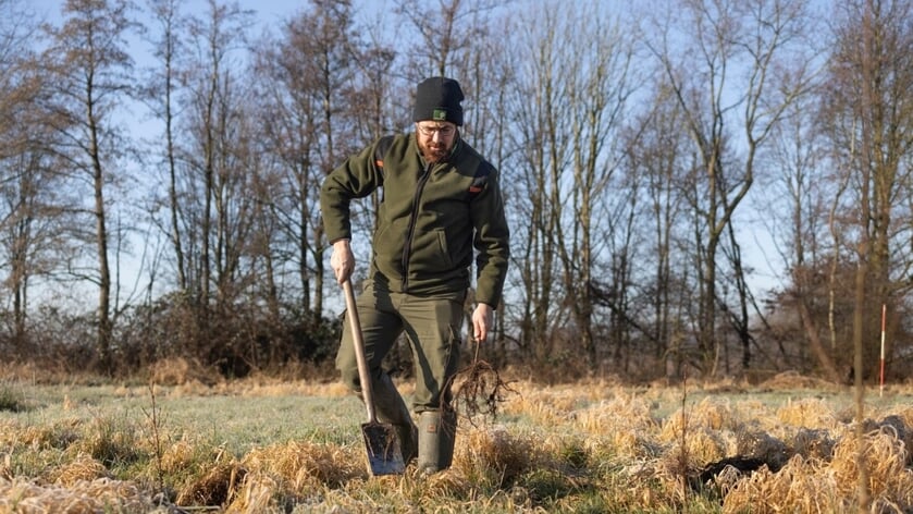 Tweede fase bosuitbreiding Bernisse en Brielse Meer aankomende winter van start