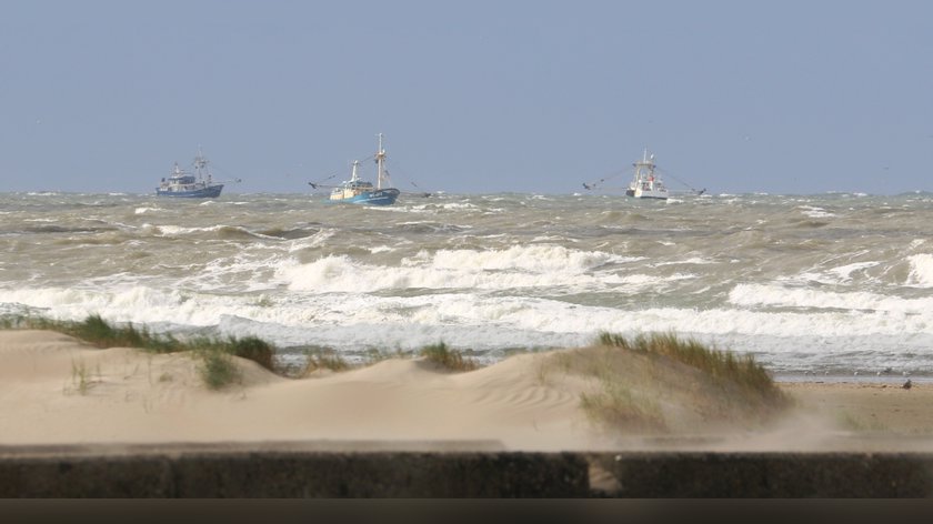 Garnalenvissers massaal voor de kust
