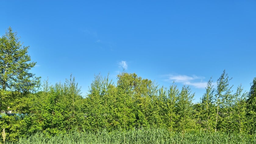 Zaterdag veel zon, maar zondag kleine kans op een bui