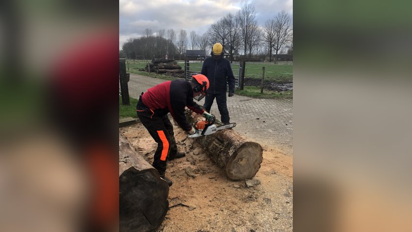 Lions club de Liemers Houtactie: ‘Hout Moet’