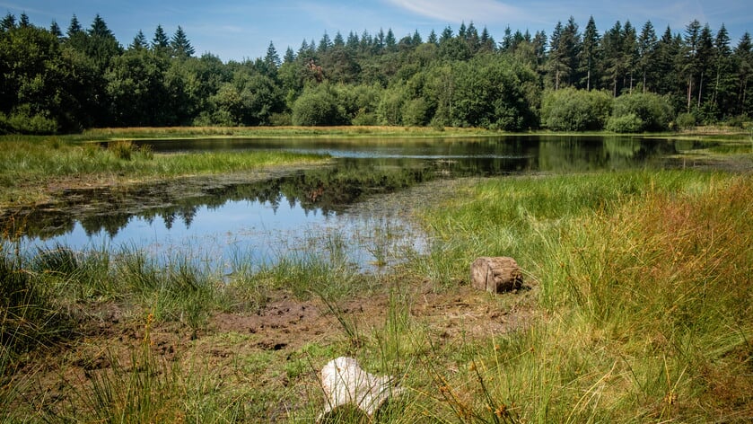 Ontdek historie De Doorbraak tijdens wandeling
