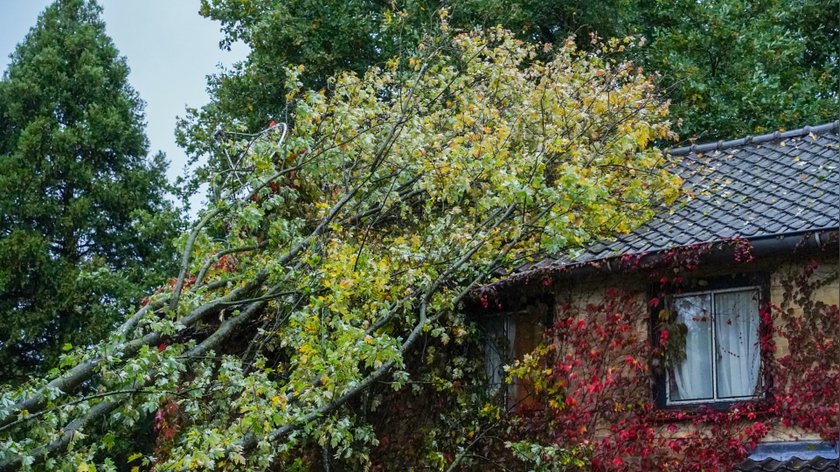 Grote boomtak valt tijdens storm op dak van woning