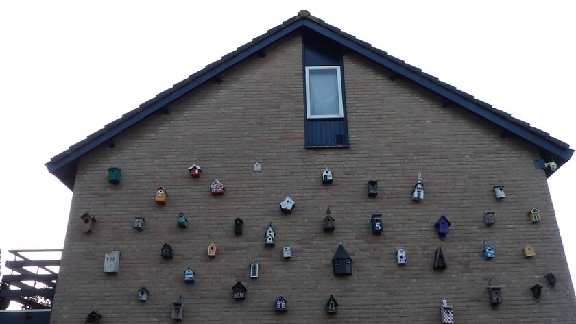 Koolmees heeft verblijf voor het uitzoeken