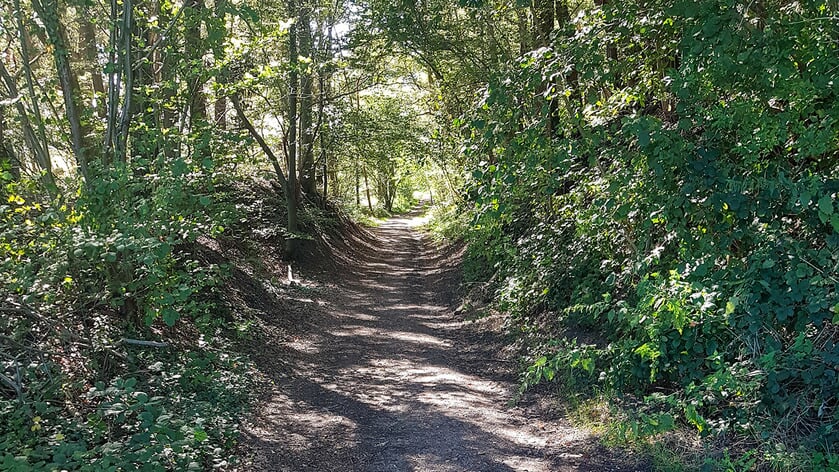 Natuurexcursie Dwars op de Brabantse Wal