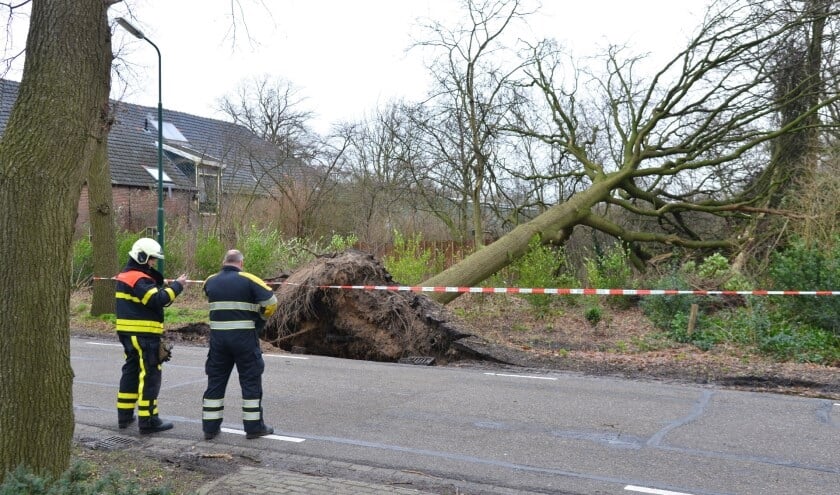 Vanavond code geel in Brabant door storm Benjamin