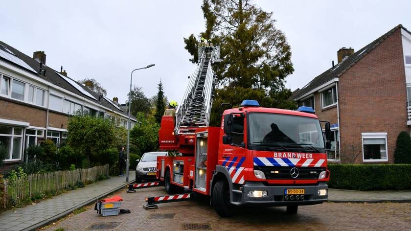 Brandweer verwijdert loshangende tak grote boom Poppenroedestraat Middelburg