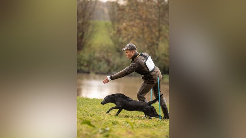 Nationaal kampioenschap voor jachthonden dit jaar in Wilhelminadorp