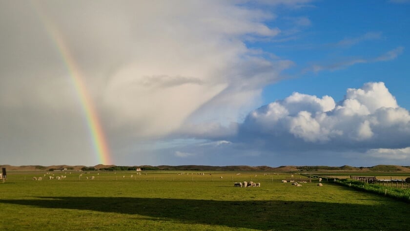 Welkome regen op Texel