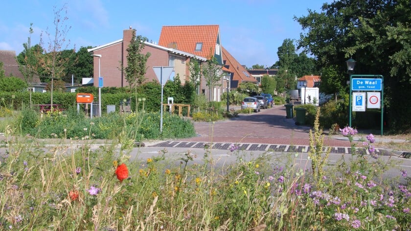 Art & Roses in De Waal