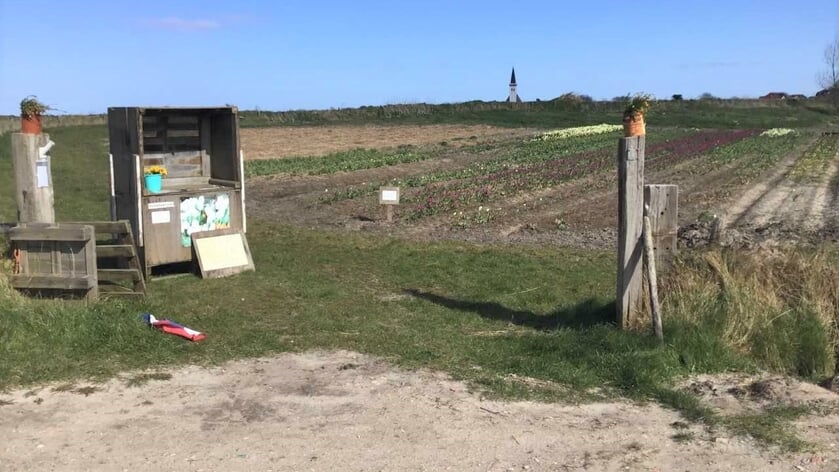 Lap houdt vast aan eerder verleende vergunning pluktuin: “Niemand kan het uitleggen”