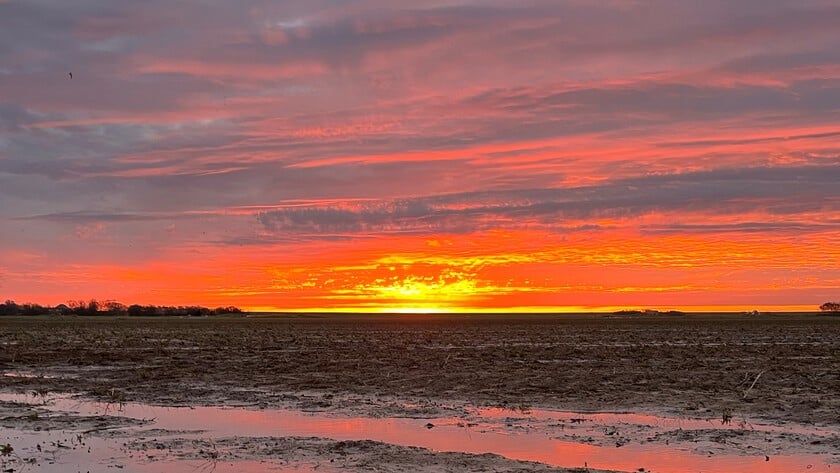 De lezersfoto - Er hangt iets in de lucht