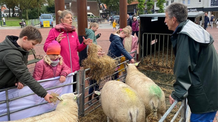 Herfstmarkt Den Burg gaat niet door