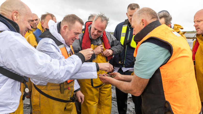 Irish Mór: de oesters van Castlemaine Harbour