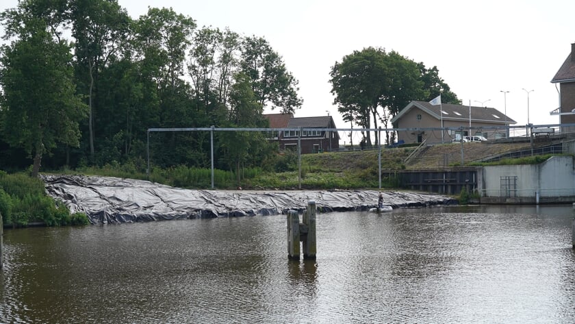 Wal bij de Urkersluis wordt met plastic afgedekt in strijd tegen een invasieve exoot: de reuzenberenklauw