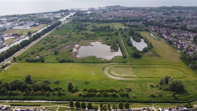 Het Flevo-landschap houdt zaterdag 19 juli een excursie op de Witte Zandvlakte, wandel mee en neem een kijkje