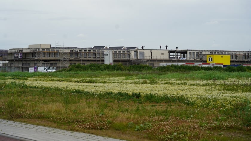 Brede School De Driemaster heeft hulp nodig bij de officiële stichtingsprocedure voor een zelfstandige basisschool