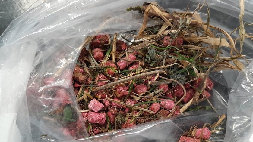 Mogelijk rattengif in grote hoeveelheden neergelegd in Waal: al twee honden op spoeddienst dierenkli