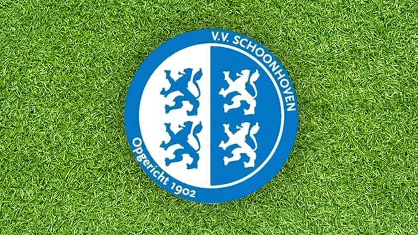 Schoonhoven in de problemen