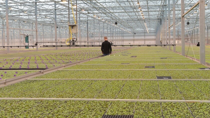 Schneider Youngplants opent haar deuren tijdens de jaarlijkse Boerenerfdag