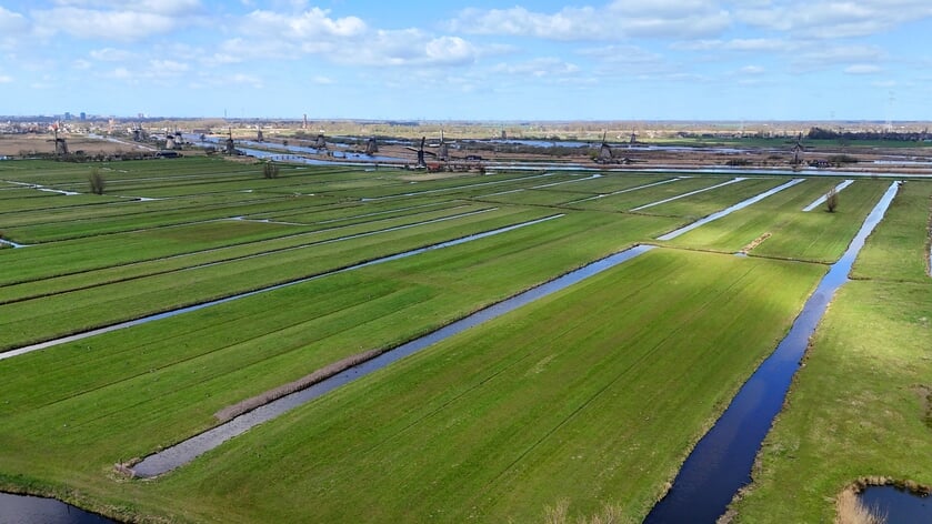 Krimpenerwaard en Molenlanden richting provincie: trek pakket stikstofmaatregelen SANE in of pas het