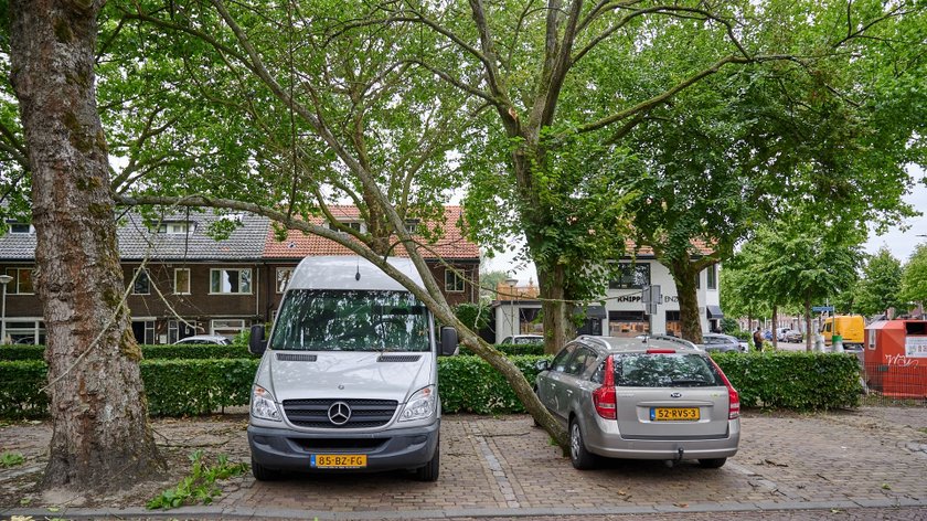Zware windstoten en code geel in Brabant: ‘Veel takken zullen afbreken ...