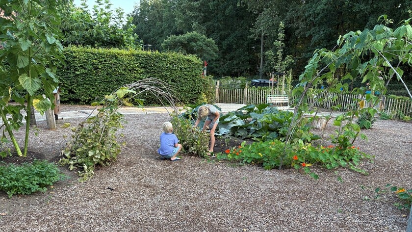 Sponsorloop voor groen schoolplein basisschool St. Ludgerus