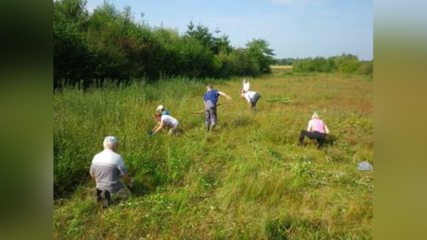 Natuurwerkdag in de Besselinkschans
