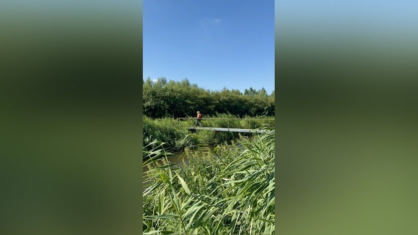 Het Oostwaardpad: een pareltje in de Biesboschlinie