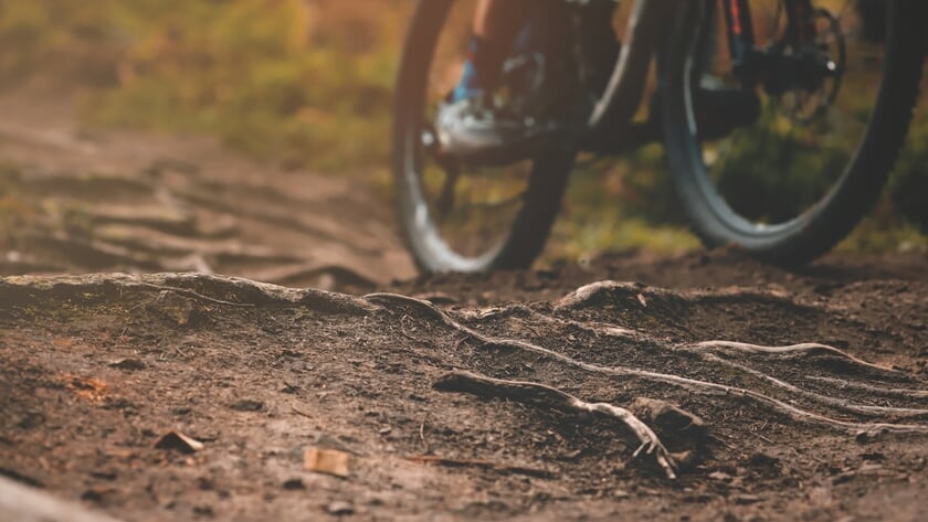 Mooi NK voor mountainbikers Jan van Arckel