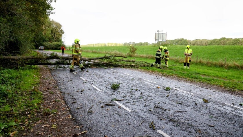 Boom omgewaaid over de weg in Zoelen