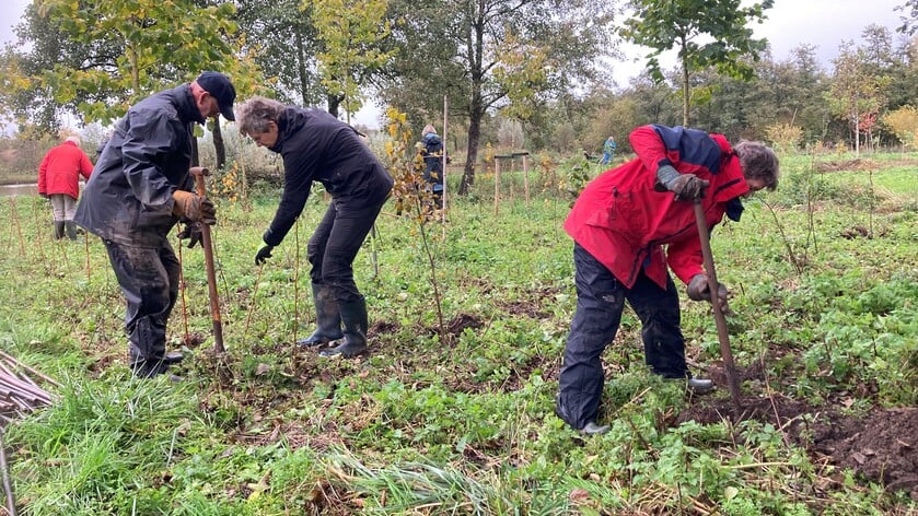 Groep vrijwilligers plant ruim 1500 struiken en bomen in het Polderbos in Goudriaan