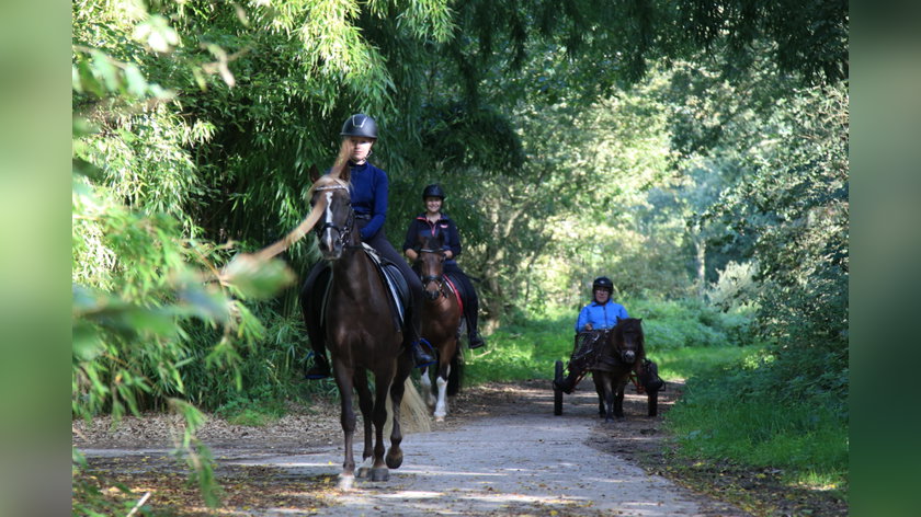Weer te paard happen en stappen rondom Ruurlo