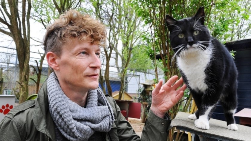 Kattenkijkmiddag in Doetinchem op Wereld Dierendag