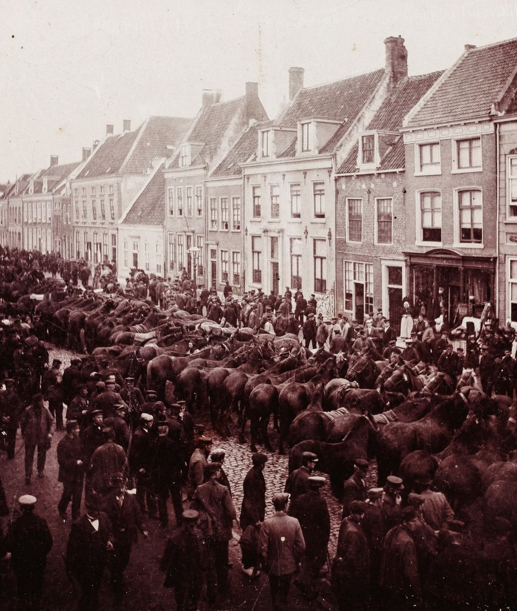 Paardenmarkt op de Voorstraat van Vianen in 1895.