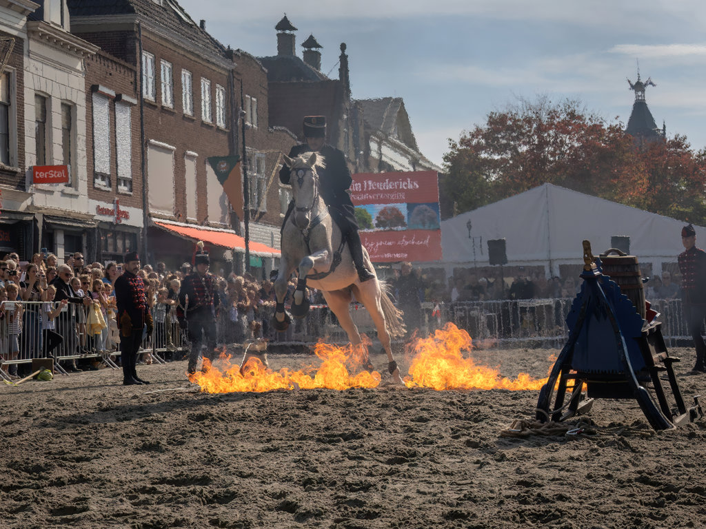 Paardenmarkt Vianen 2026.