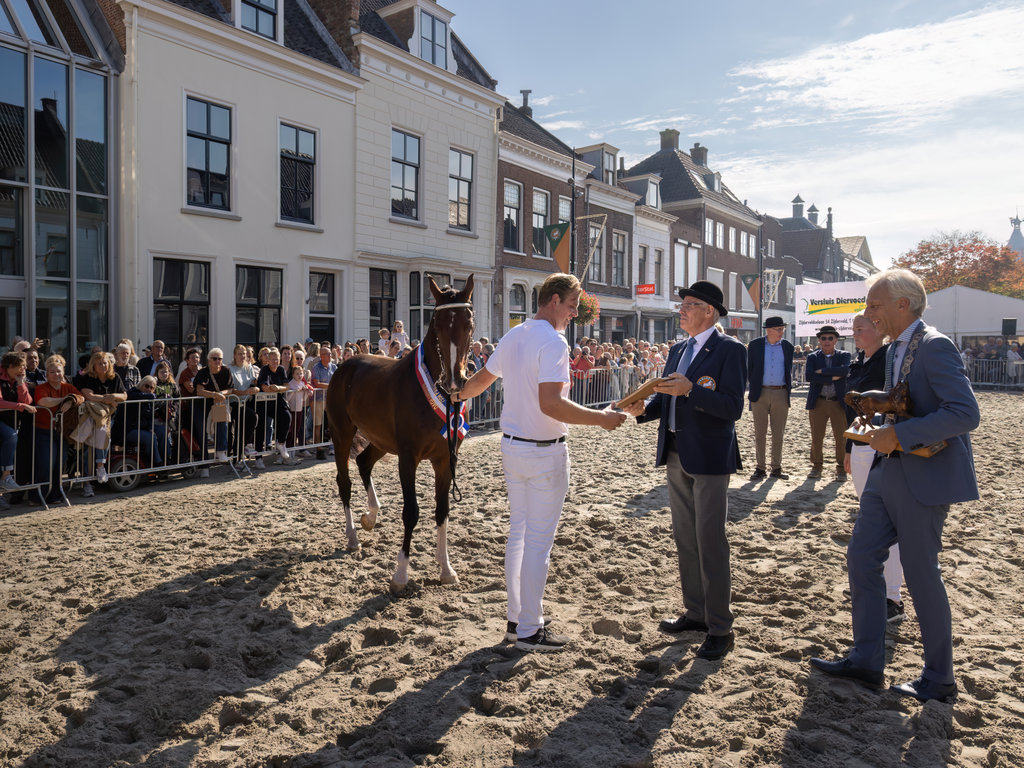 Paardenmarkt Vianen 2026.