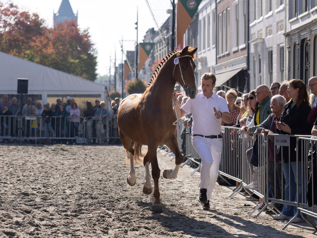 Paardenmarkt Vianen 2026.